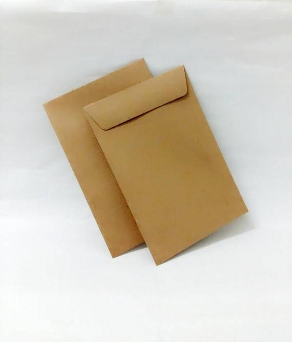 Brown Envelope 9" x 6"